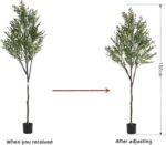 WhatsApp Image 2026-02-07 at 5.51.38 PM