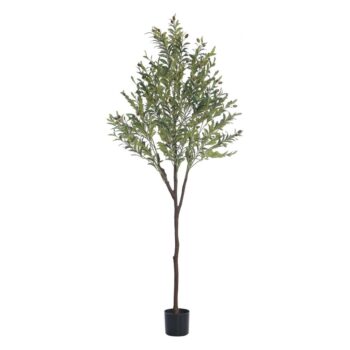 JWT3602 tree image