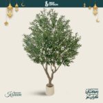 WhatsApp Image 2026-01-27 at 1.47.51 PM (1)