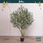 WhatsApp Image 2026-01-27 at 1.47.52 PM