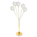 WhatsApp Image 2026-01-27 at 1.47.45 PM (2)