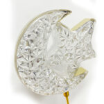 WhatsApp Image 2026-01-27 at 1.47.45 PM (2)