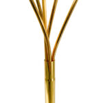 WhatsApp Image 2026-01-27 at 1.47.45 PM (2)