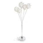 WhatsApp Image 2026-01-27 at 1.47.44 PM (2)