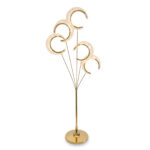 WhatsApp Image 2026-01-27 at 1.47.45 PM (1)