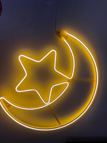 Neon Moon & Star LED Wall Light | Hanging Light for Indoor/Outdoor Decoration